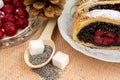 Poppy seed strudel with cherry Royalty Free Stock Photo