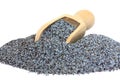 Poppy seeds