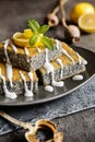 Poppy seeds cake with lemon topping Royalty Free Stock Photo