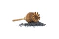 Poppy seeds and seed pod over white background Royalty Free Stock Photo