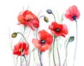 Poppy (series C)