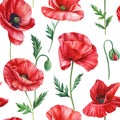 Poppy summer background, Seamless floral pattern with red flowers, watercolor. Template design for textiles, wallpaper