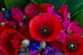 Poppy, sweet pea and corn flowers Royalty Free Stock Photo