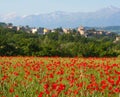 Poppy village, central Italy Royalty Free Stock Photo