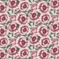 poppy watercolor pattern Royalty Free Stock Photo