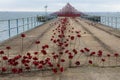 Poppy Wave at Southend-on-Sea