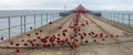 Poppy Wave at Southend-On-Sea