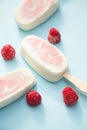 Popsicle with fresh raspberry on a table Royalty Free Stock Photo