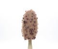 Popsicle ice cream in chocolate colored glaze isolated on a white background Royalty Free Stock Photo