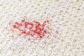 Carpet stain Royalty Free Stock Photo