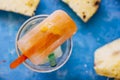 Popsicles homemade Royalty Free Stock Photo