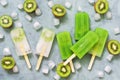 Popsicles kiwi lying on a gray background with ice cubes. The view from above, flat lay. The concept of summer. Summer dessert. Royalty Free Stock Photo