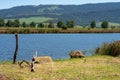 A popular bird watching lake in the Natal Midlands