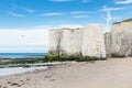 Popular Botany Bay La Manche English channel coast, Kent, England, United Kingdom Royalty Free Stock Photo