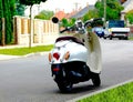 Popular brand Japanese made pearl white stylish scooter closeup. perspective view. soft street background