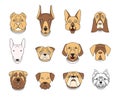 Popular breeds of dogs. 12 linear colorful icons on white Royalty Free Stock Photo