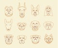 Popular breeds of dogs. 12 linear icons