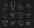 Popular breeds of dogs. 12 linear icons on black