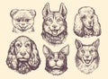 Popular breeds of dogs sketch set. Cute dog or puppy characters design collection. Funny pet animals vector illustration Royalty Free Stock Photo