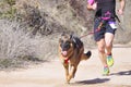 Popular canicross race Royalty Free Stock Photo
