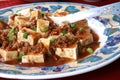 Popular Chinese Spicy Dish from Sichuan Tofu