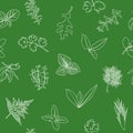 Popular culinary herbs seamless pattern. realistic style. icon outline sketch on green. Basil, coriander, mint, rosemary