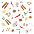 Popular culinary spices set