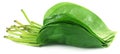 Popular edible betel leaves Royalty Free Stock Photo
