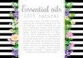 Popular essential oil plants label set. badge with text. Royalty Free Stock Photo