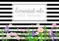 Popular essential oil plants label set on black stripes