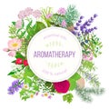 Popular essential oil plants label set. round badge with text aromatherapy