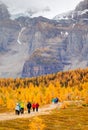 Popular Hiking Trail in the Canadian Rockies Royalty Free Stock Photo