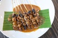 Popular Indonesian Checken Barbeque - Sate Ayam Royalty Free Stock Photo