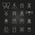 Popular insects line icons set