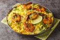 Popular Iranian seafood pilaf Meygoo Polo with herbs and prawns closeup on the plate. Horizontal