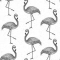 Popular modern style print with gray flamingo. Trendy seamless p