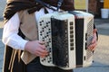 Popular musician playing accordion, musical instrument