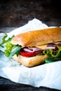Popular panini sandwich Royalty Free Stock Photo