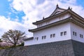 Sunpu Castle Tatsumi-Yagura during Cherry blossoms