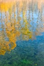 Popular Reflections trees on the water in the soft morning light