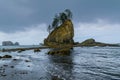 Popular sea stack at Second Beach Olympic National Park Royalty Free Stock Photo