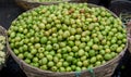 Popular seasonal fruit in Bangladesh nake kul/boroi Royalty Free Stock Photo