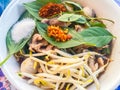 Popular street food in Thailand, Spicy pork noodle that consisted of pork ball, pork meat, basil or thyme, bean sprouts, morning Royalty Free Stock Photo