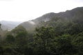 Minca Colombia Misty Jungle Landscape