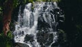 Popular touristic waterfall with plants in Urubici, Brazil