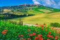 Spectacular Tuscany cityscape and blooming red poppies, Pienza, Italy, Europe Royalty Free Stock Photo