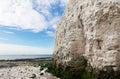 Popular white cliffs Botany Bay La Manche English channel coast, Kent, England, United Kingdom