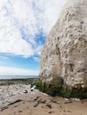 Popular white cliffs Botany Bay La Manche English channel coast, Kent, England, United Kingdom