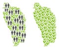 Population and Flora Dominica Island Map