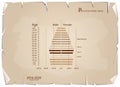 2016-2020 Population Pyramids Graphs with 4 Generation